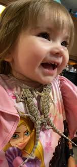 My granddaughter loves her beardie “wizzards” She is so sweet and gentle  with them.