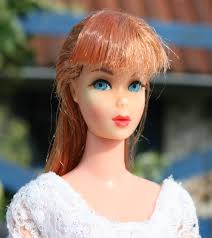British/European Blister Barbie TNT head with lashes