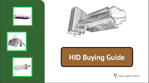 Metal halide and fluorescent lighting are also used as grow lights, but usually only in the beginning and vegetative stages of growth. Hid Grow Light Buying Guide Choosing The Best Hps Or Mh Plant Light For Marijuana And Other Plants Youtube