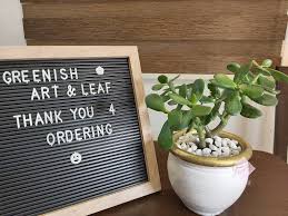 We earn a commission for products purchased through some links in this article. Trivia The Jade Plant Is A Green Ish Art Leaf Facebook