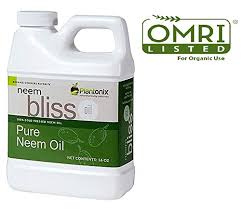 The oil brings antibacterial advantages that really. Neem Oil For Plants And Its Uses Complete Guide To It S Benefits