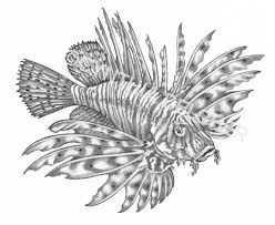 Pin On Gray Coloring