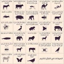 الخلق والفناء Posts Facebook