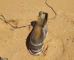 Melissa caddick's foot found, has she been murdered or was it suicide? Melissa Caddick Death Decomposed Feet That Washed Up In Canada May Provide Clues T Gate