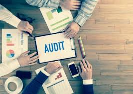 The members of the audit oversight board are: Sc S Audit Body Ensure High Quality Audits Of Public Interest Entities