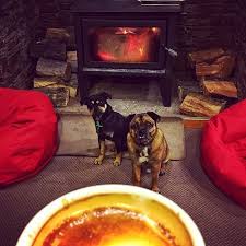 Just A Couple Of My Favourite Things Pretty Chilly Down Here In Nz But Good Coffee A Warm Fire And Pup Cuddles Make I Warm Fire Best Coffee My Favorite Things