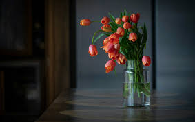 Flowers to send to someone uk. Flower Delivery To The Uk From The Netherlands Bloom