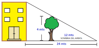 Resultado de imagen de teorema de thales