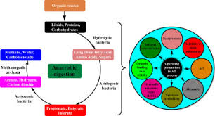Maybe you would like to learn more about one of these? Functions Of Bacteria And Archaea Participating In The Bioconversion Of Organic Waste For Methane Production Sciencedirect