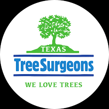 Yp.com local search connects you with over 19 million local businesses. About Texas Tree Surgeons Dallas Tree Service Company