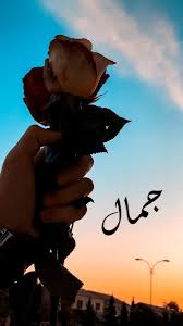 جمال الورد human silhouette silhouette human