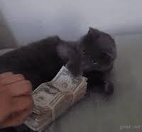 Everybody loves cash, so does graduate. Cats With Money Gifs Get The Best Gif On Giphy