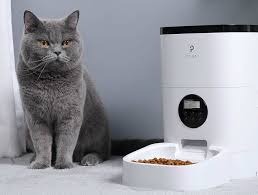 This project is free on thingiverse but the difference is in this video i show you how to build amazing automatic food dispanser for your cat, dog or any other pet! Introducing The Petlibro Automatic Cat Feeder The Purrington Post