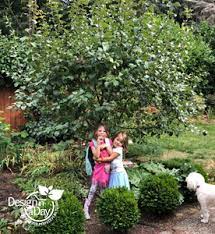 We did not find results for: Landscape Design Can Be Done With Portland Dwarf Apple Trees