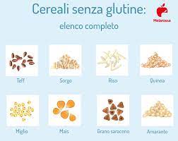 Miscele istantanee (bevande e piatti) salse, aceti, maionese a base di ingredienti naturali. Glutine Cos E A Cosa Serve Alimenti Con E Senza Tipi Di Intolleranza