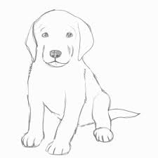 Another two crucial characteristics of the face are the long ears (so cute) and the actual nose. Cute Dog How To Draw A Easy Puppy Cuteanimals