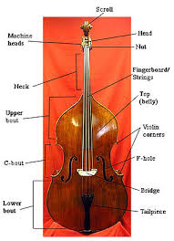 Double Bass Wikipedia