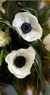 All White Flowers Are Beautiful And With Meanings Of Their Own So Which Do You Prefer Beautiful White Types Of White Flowers White Flowers Wedding Plants