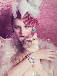 They Tried To Put Me On The Cover Of Vogue Cat Cats In Fashion Shoots Vogue Magazine Covers Vogue Japan Vogue Magazine