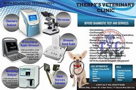 Trilby animal hospital, which dr. Therpy S Veterinary Clinic Your Pets Genuine Therapy Home Facebook