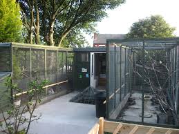 Bird Aviary For Sale South Africa Tiddlers Day Nursery What S New At Tiddlers Bird Aviary Chickens Backyard Bird Houses