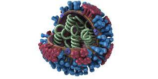 In this video i show you how to perform an influenza a&b test using the sofia. Tipos De Virus De Influenza Cdc