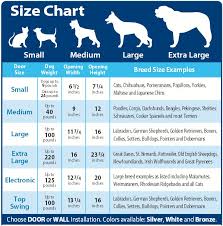Puppy Feeding Chart By Weight Google Search Best Dog
