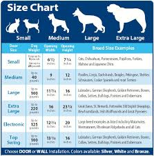 puppy feeding chart by weight google search best dog