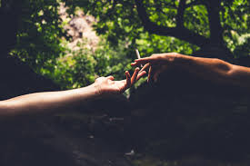 I remember being told, by a councilor in high school that smoking marijuana can cause hair loss. Does Marijuana Use Affect Hair Loss Holistic Hair Health