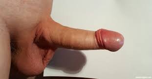 15 cm Schwanz - Kostenlose Penis Bilder und Schwanzfotos