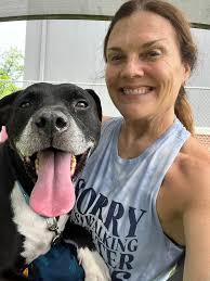 dog walking suspended due to heat