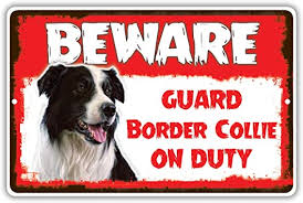 $10.84 20cm metal border collie a house not a home hanging sign novelty dog lover gift. Amazon Com Beware Guard Border Collie Lab On Duty Novelty Aluminum Metal 8x12 Sign Office Products