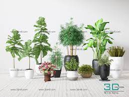 385 plant 3dsmax model free download 3d mili download 3d model free 3d models 3d model download