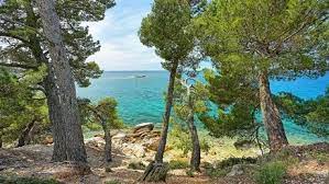 Wie läuft der immobilienkauf ab? Immobilien In Kroatien Istrien Und Rovinj