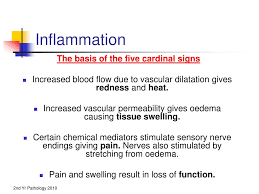 Ppt Inflammation And Cellular Responses Prof Orla Sheils Powerpoint Presentation Id 3215957