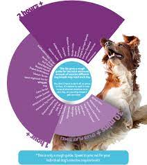 Puppies should have 5 minutes of exercise per month of age until they are grown. How Much Exercise Does Your Dog Need Pdsa