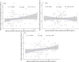 Image result for Cissus nigropilosa