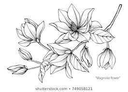 Portfolio Di Foto E Immagini Stock Di Suwi19 Shutterstock Egyptian Tattoo Tattoo Egyptian Flower Drawing