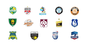 Drużyny #plusliga, podobnie jak i pozostali zawodowi sportowcy, mogą nadal korzystać z hoteli. Plusliga Sklady Druzyn 2020 2021 Transfery Vademecum Kibica Ekstraklasy Siatkarzy Kadry Wszystkich 14 Zespolow Gazeta Krakowska