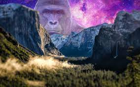 Harambe Over The Mountains Harambe Wallpaper Mountains