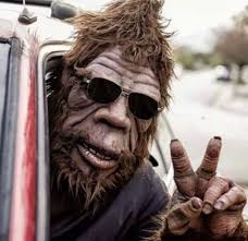 Rocky Mountain Sasquatch Organization