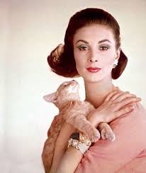 Wilhelmina Cooper Photo By Karen Radkai 1962 Tabby Kitten Orange Tabby Kitten Cat People
