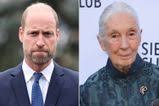Prince Harry and Meghan Markle Pay Tribute to Jane Goodall After Her Death  at 91