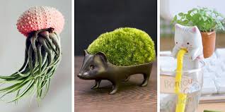 Perhaps still the coolest indoor plant in the world, tropical ficus lyrata or the fiddle leaf fig has large upright veined leaves shaped like a fiddle. 40 Of The Most Creative Planter Designs Ever Bored Panda