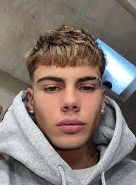 Anyone know what type of hair this is? I usually get something similar but  my barber usually gives me a “Edgar” haircut. I rather have something more  natural looking like this :