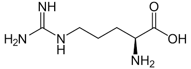 Arginin Wikipedia