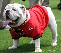 The Smith S Take On Savannah October 2010 Georgia Bulldogs Football Bulldogs Football Bulldog