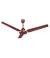 Orient Ceiling Fan Price