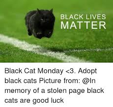 Too often are kind are stereotyped as bad luck or riding on broomsticks. Black Lives Matter Black Cat Monday 3 Adopt Black Cats Picture From Memory Of A Stolen Page Black Cats Are Good Luck Black Lives Matter Meme On Me Me