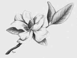 Southern Magnolia By Mary Rogers In 2020 Magnolia Tattoo Drawings Flower Drawing